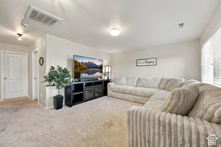 Neutral carpeted flooring, flush-mount ceiling lighting, and horizontal window blinds