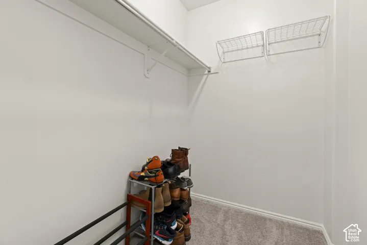 Walk-in closet featuring neutral carpeting, full-length wall-mounted shelving, and overhead wire racks