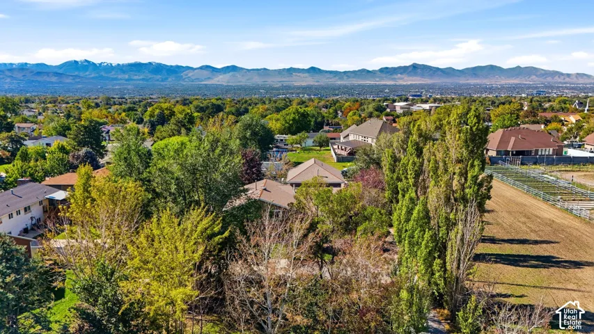 Aerial perspective featuring mature tree canopies, expansive open space, and a prominent mountain range backdrop
