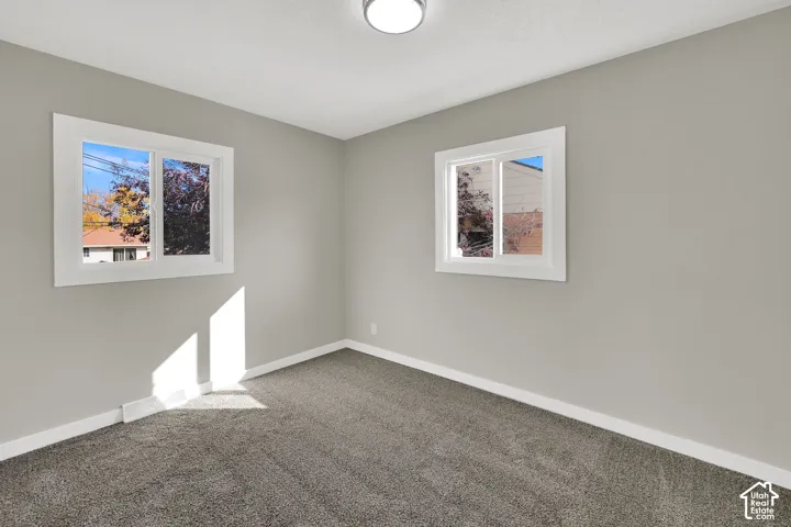 Neutral-toned walls, plush wall-to-wall carpeting, dual sliding windows with wide white trim, and a ceiling-mounted light fixture