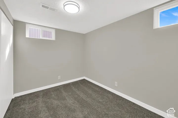 Interior space featuring neutral wall paint, plush carpeting, two high-set windows, and a flush-mount ceiling light fixture