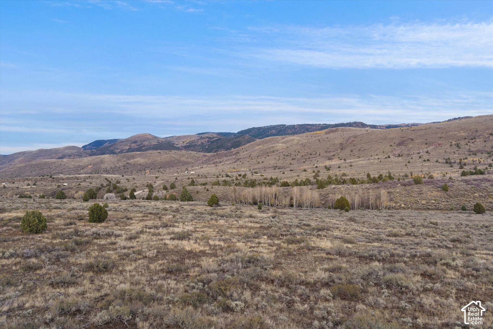 Expansive acreage featuring native vegetation, scattered evergreen trees, and mountainous topography