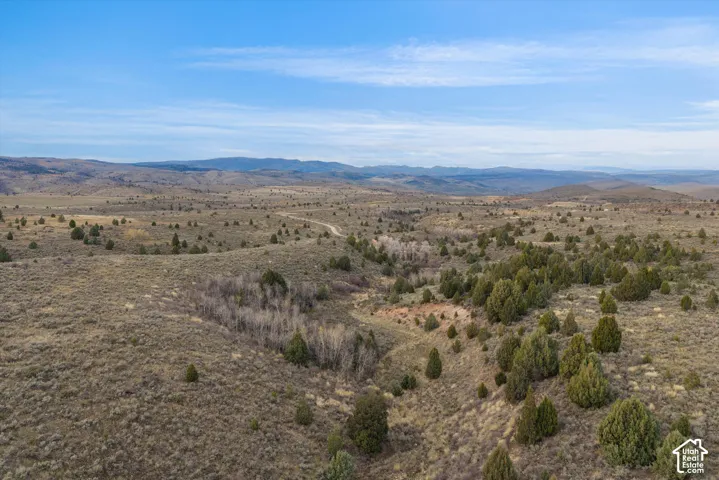 Expansive acreage featuring rolling topography, indigenous shrubbery, clusters of evergreen trees, and distant mountain scenery