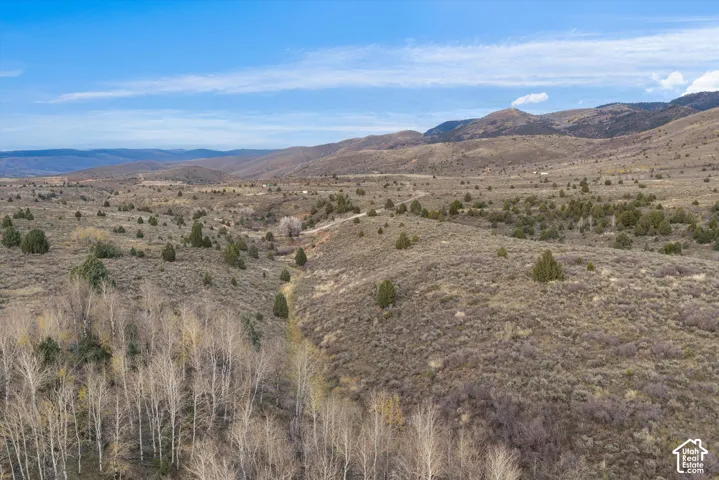 Expansive acreage featuring rolling terrain, clusters of native trees, mountain backdrops, and natural vegetation