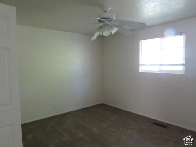 Neutral wall paint, ceiling fan with light fixture, single window, and carpeted flooring