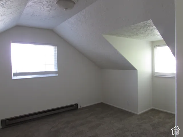 Sloped ceiling design, two windows with horizontal blinds, wall-mounted baseboard heater, and wall-to-wall carpeting