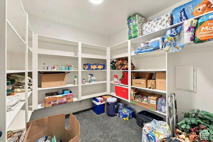Walk-in storage space featuring floor-to-ceiling white shelving units and gray carpeting