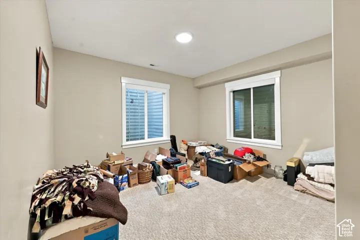 Neutral-toned interior space featuring light-colored wall-to-wall carpeting, two sliding windows with white casing, and a flush-mount overhead light fixture