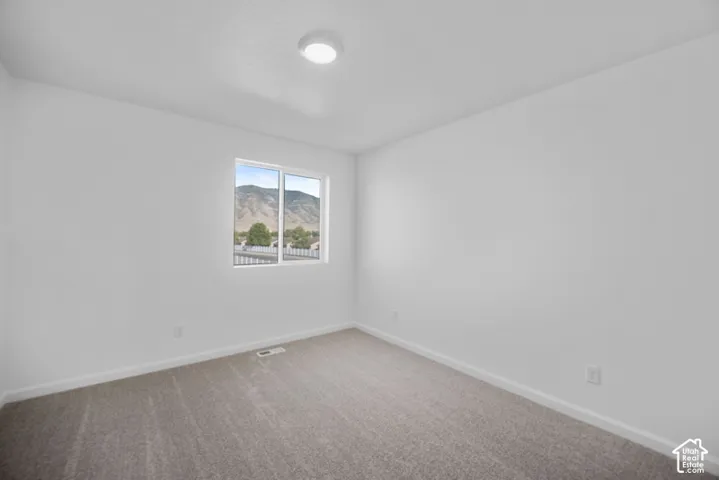 Neutral-toned wall-to-wall carpeting, window featuring mountain scenery, and flush-mount ceiling lighting
