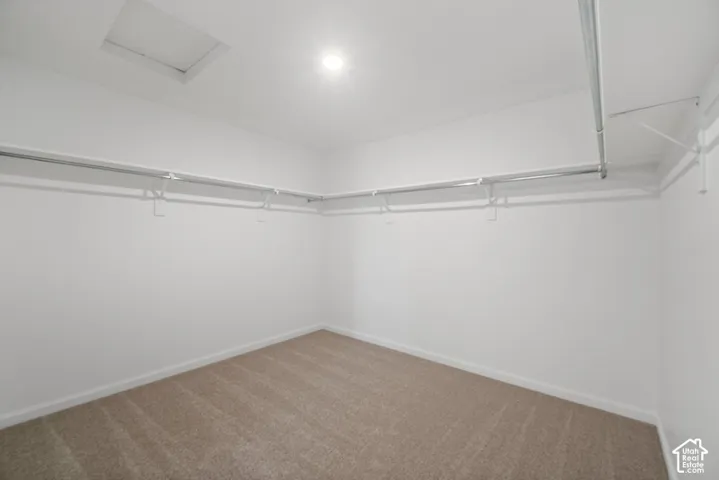 Walk-in closet featuring neutral carpeting, ceiling-mounted lighting, and built-in metal hanging rods