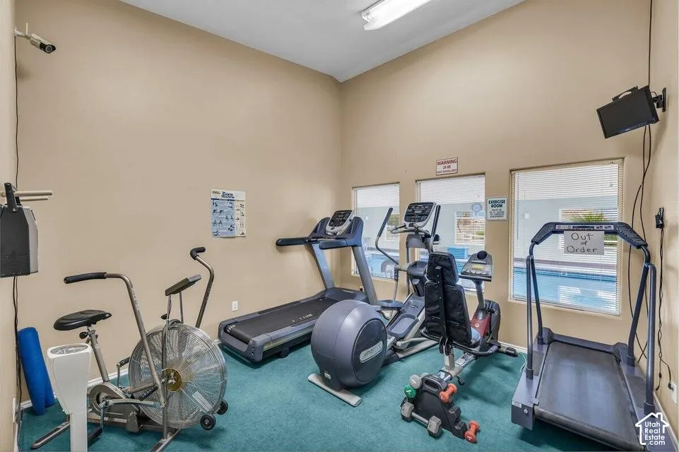 Fitness room featuring high ceilings, wall-to-wall carpeting, and multiple windows providing natural light
