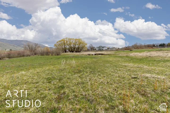 Expansive acreage featuring natural grasslands, mature willow trees, and a mountain backdrop