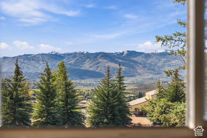 Expansive mountain backdrop featuring snow-capped peaks, mature evergreen trees, and rolling terrain