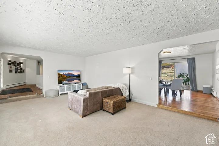 Multi-level living area featuring neutral carpeting, hardwood-finish flooring on raised sections, and arched wall openings