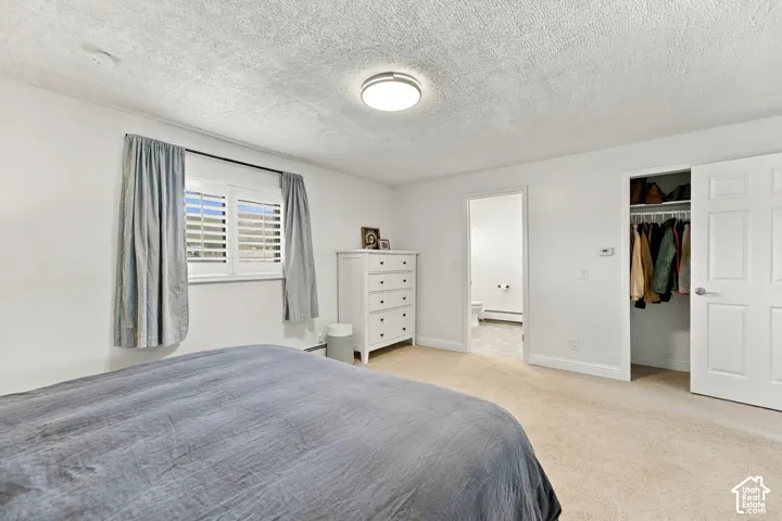 Neutral-toned carpeting, white shutter window coverings, flush-mount ceiling lighting, and interior closet with a six-panel door