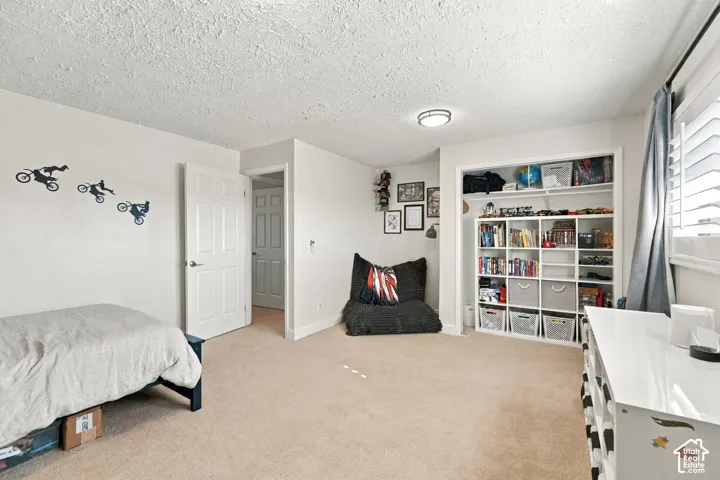 Neutral wall-to-wall carpeting, built-in recessed shelving, textured ceiling, and louvered window shutters