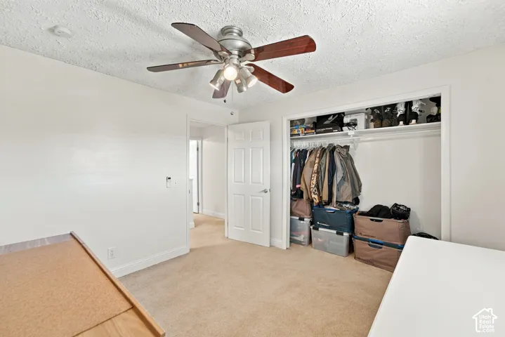 Neutral wall palette featuring carpeting, a multi-light ceiling fan with wood-finish blades, a six-panel door, and a built-in closet with overhead shelving