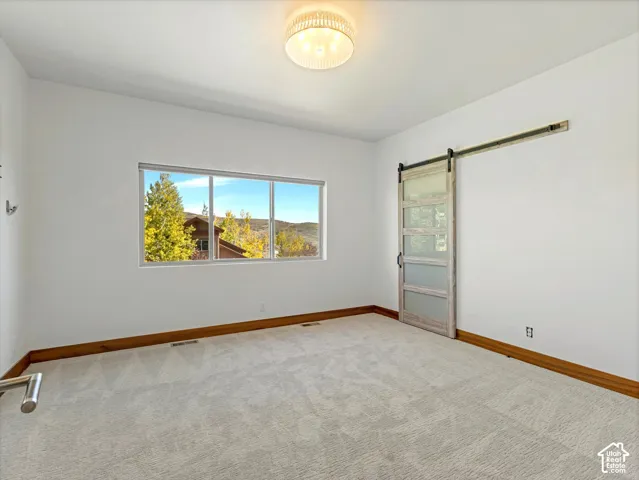 Sliding barn door with frosted glass panels, triple-pane window, flush-mount drum light fixture, and neutral carpeting