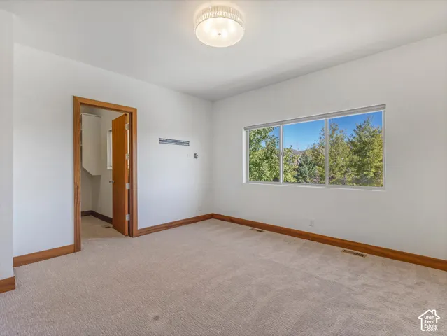 Neutral-toned carpeting, wood-trimmed doorways, flush-mount circular lighting fixture, and a large horizontal window with exterior greenery
