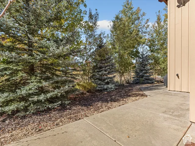 Concrete patio featuring a mulched garden area with mature coniferous and deciduous trees