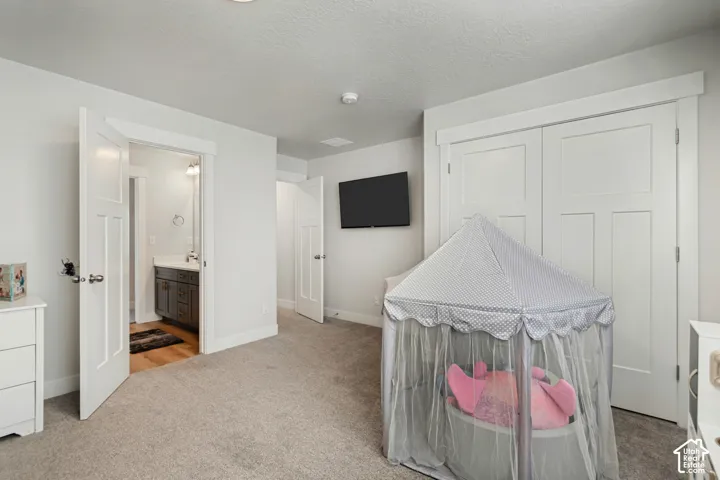Plush carpet flooring, white interior doors, and a built-in closet with sliding doors