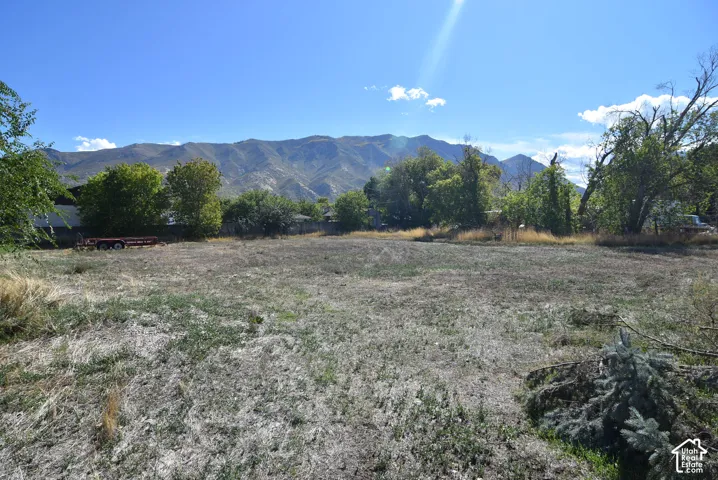 Large unfinished back yard area for your own dirt bike/ATV track, pickleball/B-Ball/tennis court, huge shop or barn and stables for your horses.