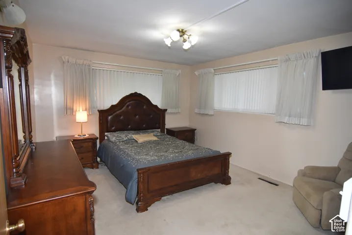 Owner's Room featuring neutral wall finishes, carpeting, dual windows with wall-mounted window treatments, and a multi-bulb flush-mount ceiling fixture