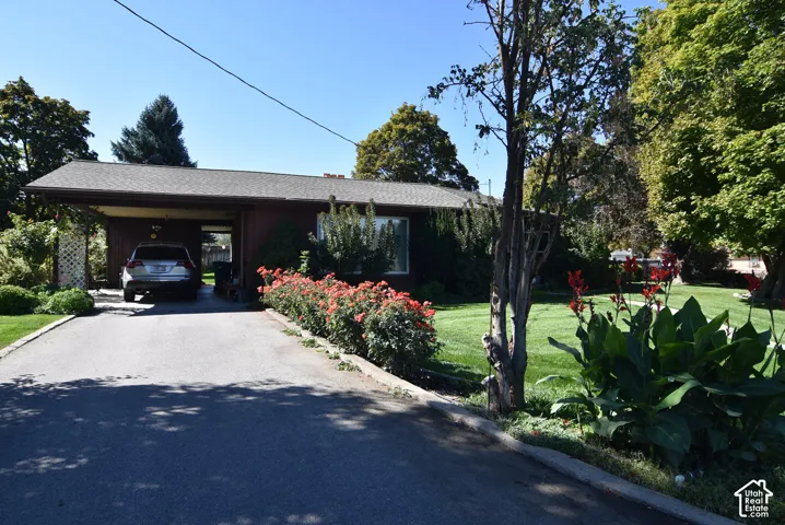 Single-story residence featuring an attached carport, asphalt driveway, and mature landscaping