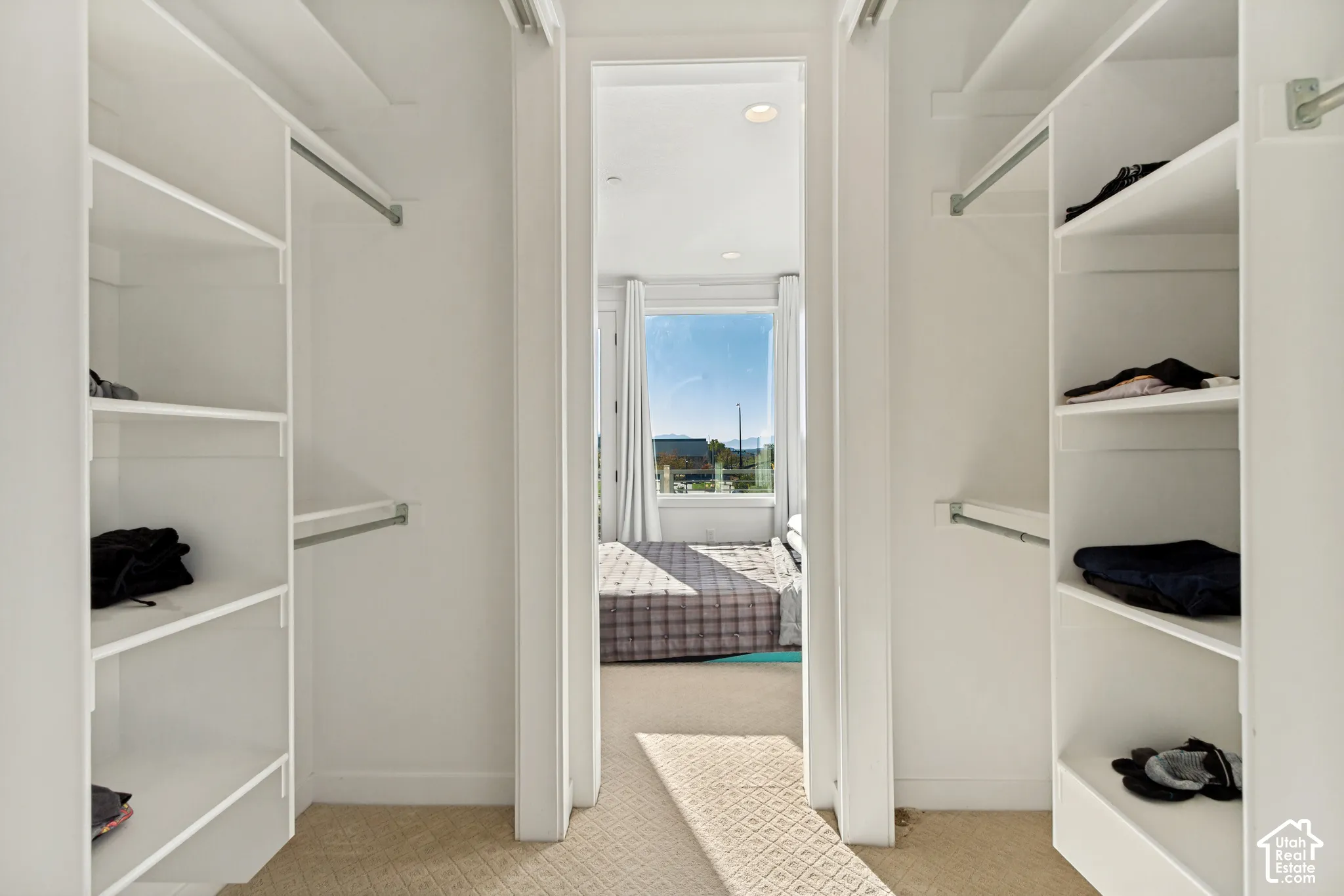 Walk-in closet featuring white built-in shelving, integrated hanging rods, and neutral carpeting