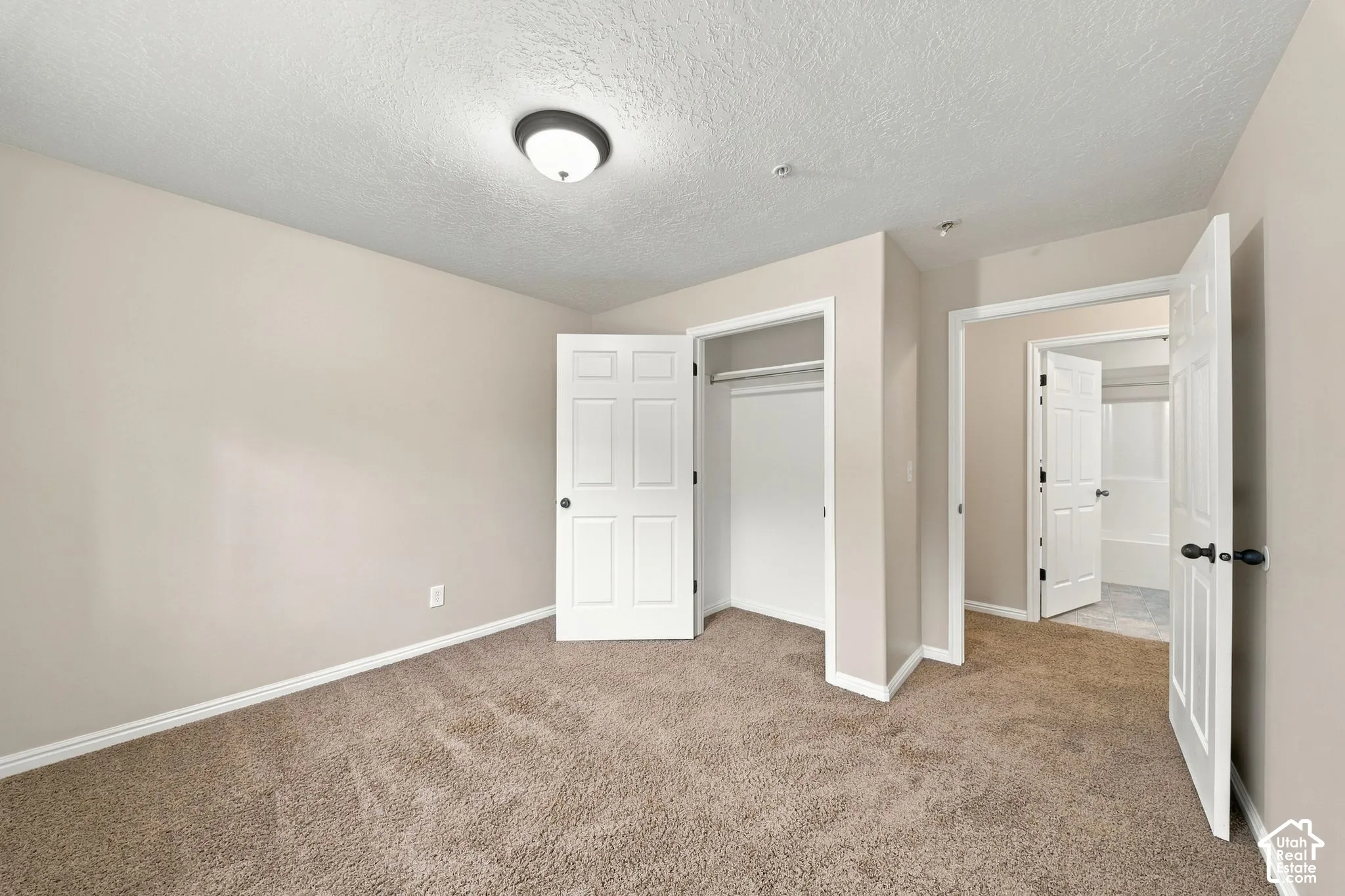 Neutral wall color palette, carpeted flooring, walk-in closet with shelving, and multi-panel interior doors