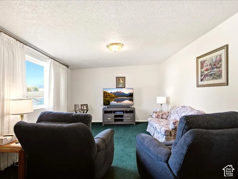 Neutral-toned interior space featuring a large window with floor-to-ceiling drapery, plush wall-to-wall carpeting, and a central flush-mount ceiling light fixture