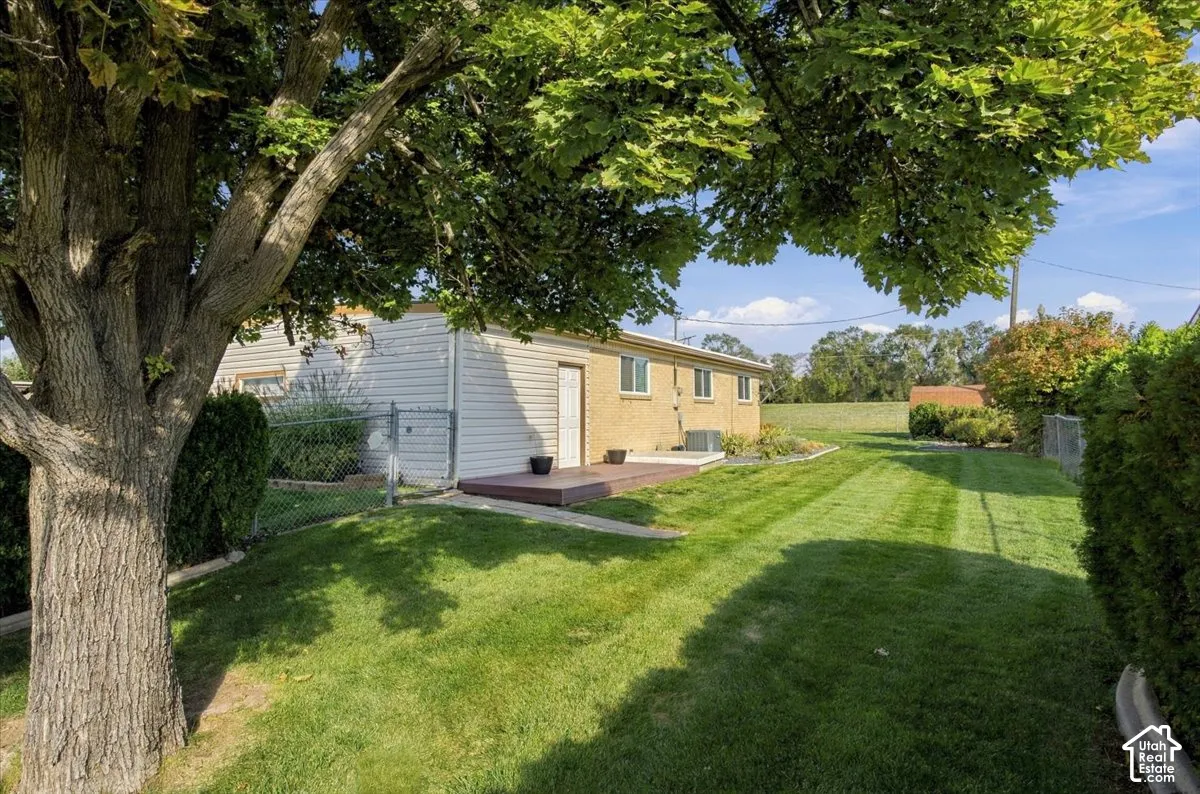 Expansive backyard featuring a manicured lawn, mature trees, wood-finish rear decking, and chain-link fencing
