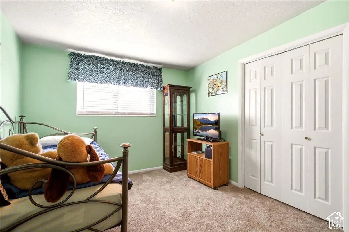 Room featuring neutral carpeting, a large window with horizontal blinds, and a built-in closet with white paneled bi-fold doors