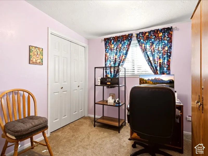 Bifold closet doors and horizontal window blinds