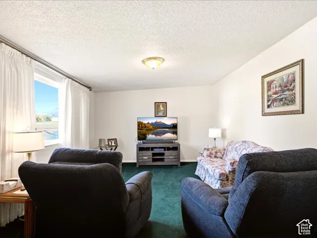 Neutral-toned interior space featuring a large window with floor-to-ceiling drapery, plush wall-to-wall carpeting, and a central flush-mount ceiling light fixture