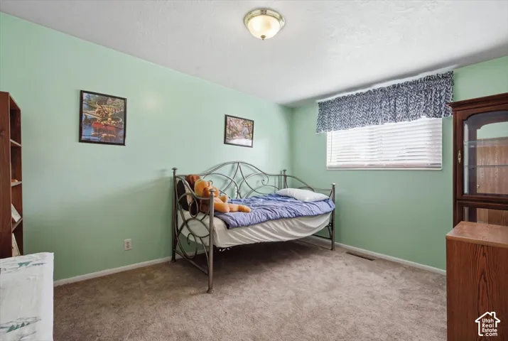 Neutral-toned carpeting, flush-mount ceiling lighting, and a window featuring horizontal blinds
