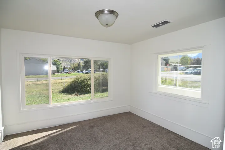 Interior space featuring dual-pane windows, neutral wall coloring, carpeted flooring, and a flush-mount ceiling light fixture