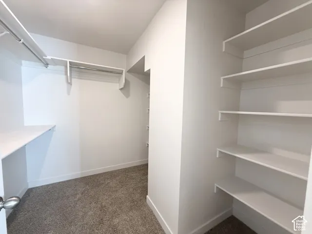 Walk-in closet featuring neutral carpeting, white interior walls, multiple tiered wall-mounted shelving units, and integrated metal clothing rods