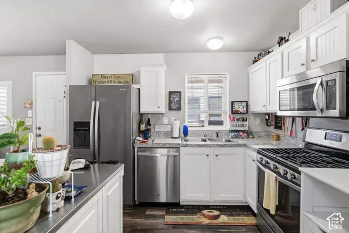 Kitchen featuring white shaker-style cabinetry, speckled stone-finish countertops, stainless steel appliances, a double-basin sink, and wood-finish flooring