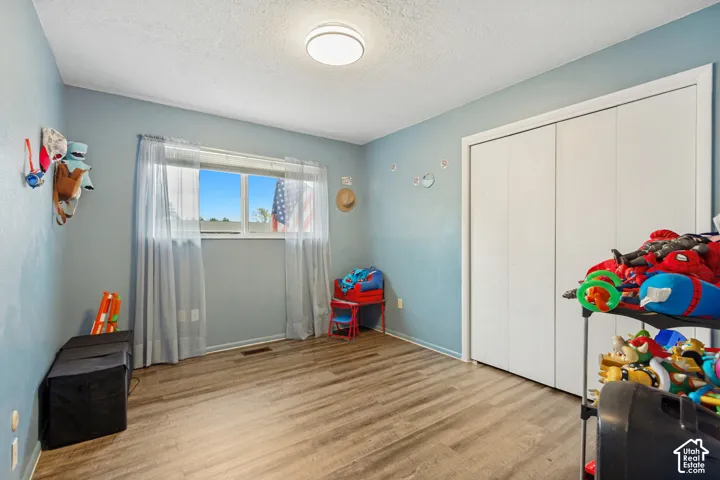 Room featuring wood-finish flooring, a double-panel closet with white doors, a ceiling-mounted light fixture, and a large window