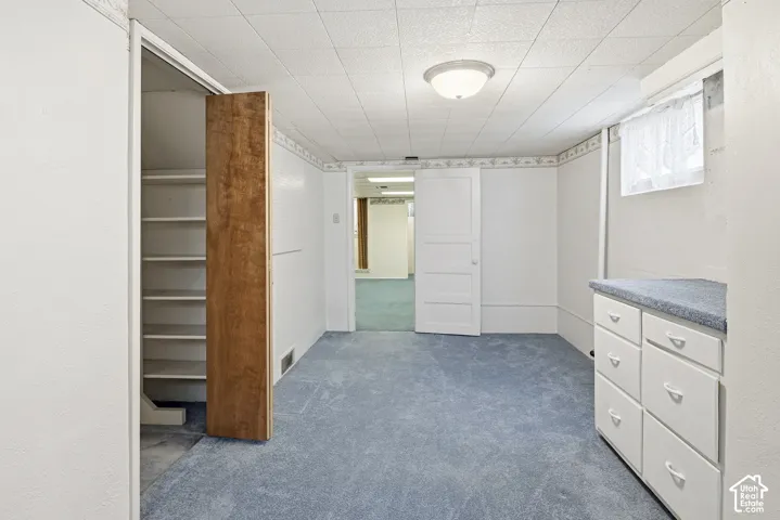 Built-in storage cabinetry with a solid surface countertop, inset wood shelving, a ceiling-mounted light fixture, and a drop ceiling