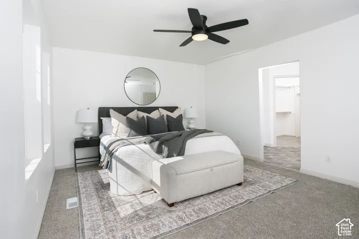 Neutral-toned carpeting, matte black ceiling fan with integrated lighting, and multiple tall vertical windows