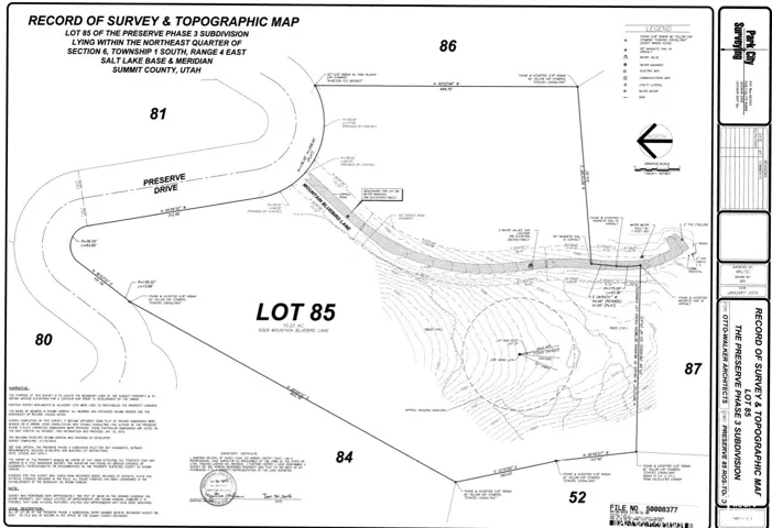 Record of Survey and Topographic Map. Illustrating boundary lines, terrain elevation data, and legal dimensions for the property