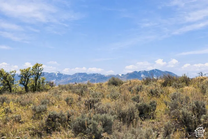 View toward the Wasatch Back