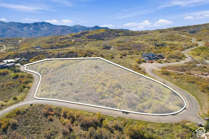 Expansive parcel of land featuring natural vegetation, paved road frontage, and a mountainous backdrop