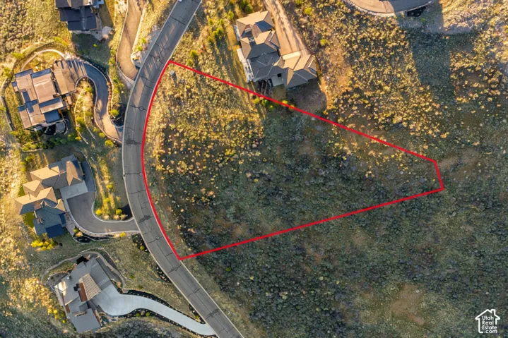 Triangular parcel situated along a curved asphalt street with native vegetation and sloping topography