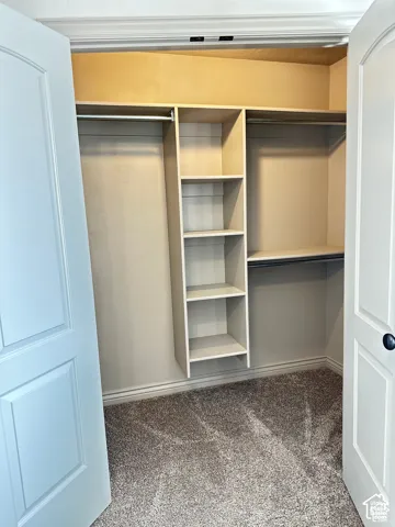 Walk-in storage space featuring custom built-in shelving, dual hanging rods, neutral carpeting, and double-panel doors
