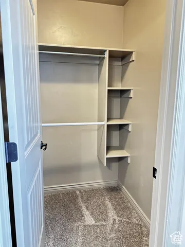 Storage closet featuring carpeted flooring, a structural hanging rod, and integrated shelving