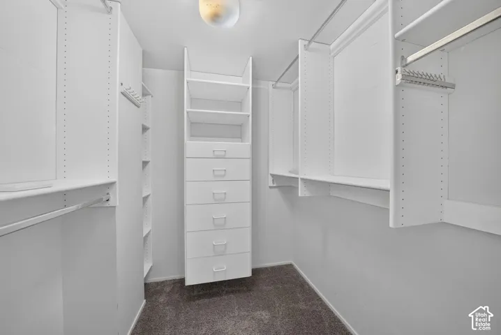 Walk-in closet featuring white built-in shelving, a six-drawer vertical organizer, multiple hanging rods, and carpet flooring