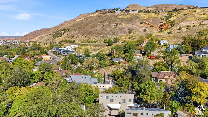 Aerial perspective of the neighborhood featuring hilly terrain, native vegetation, and mature trees